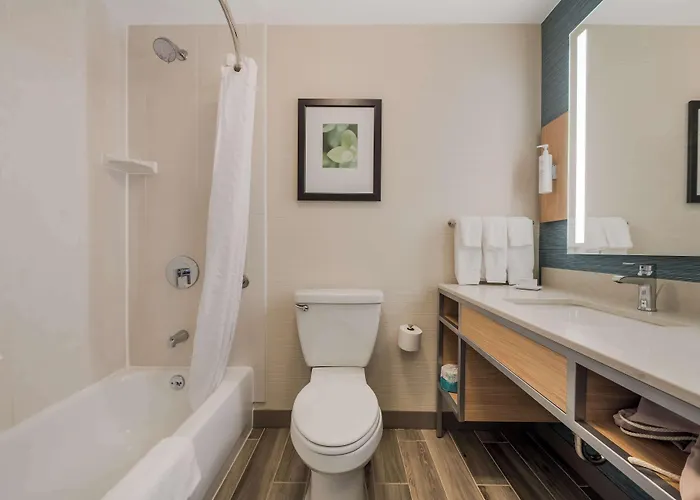 Hilton Garden 3*