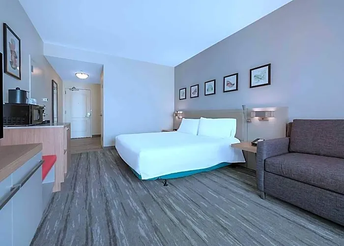 Hilton Garden 3*